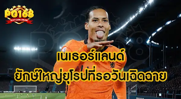 เนเธอร์แลนด์